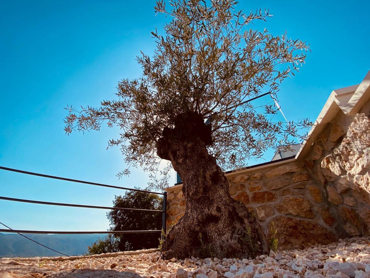 Villa Magic Look Donji Proložac Εξωτερικό φωτογραφία